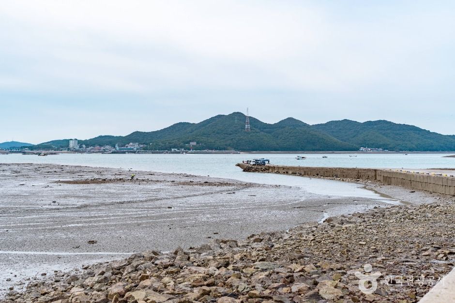 도비도항