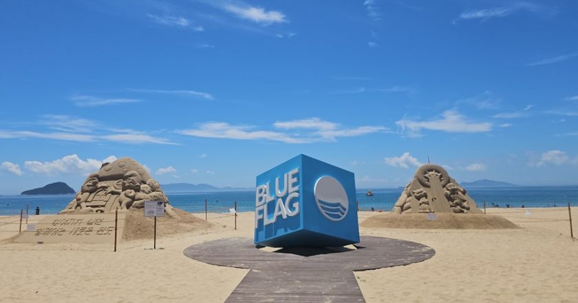 완도 바다 풍경